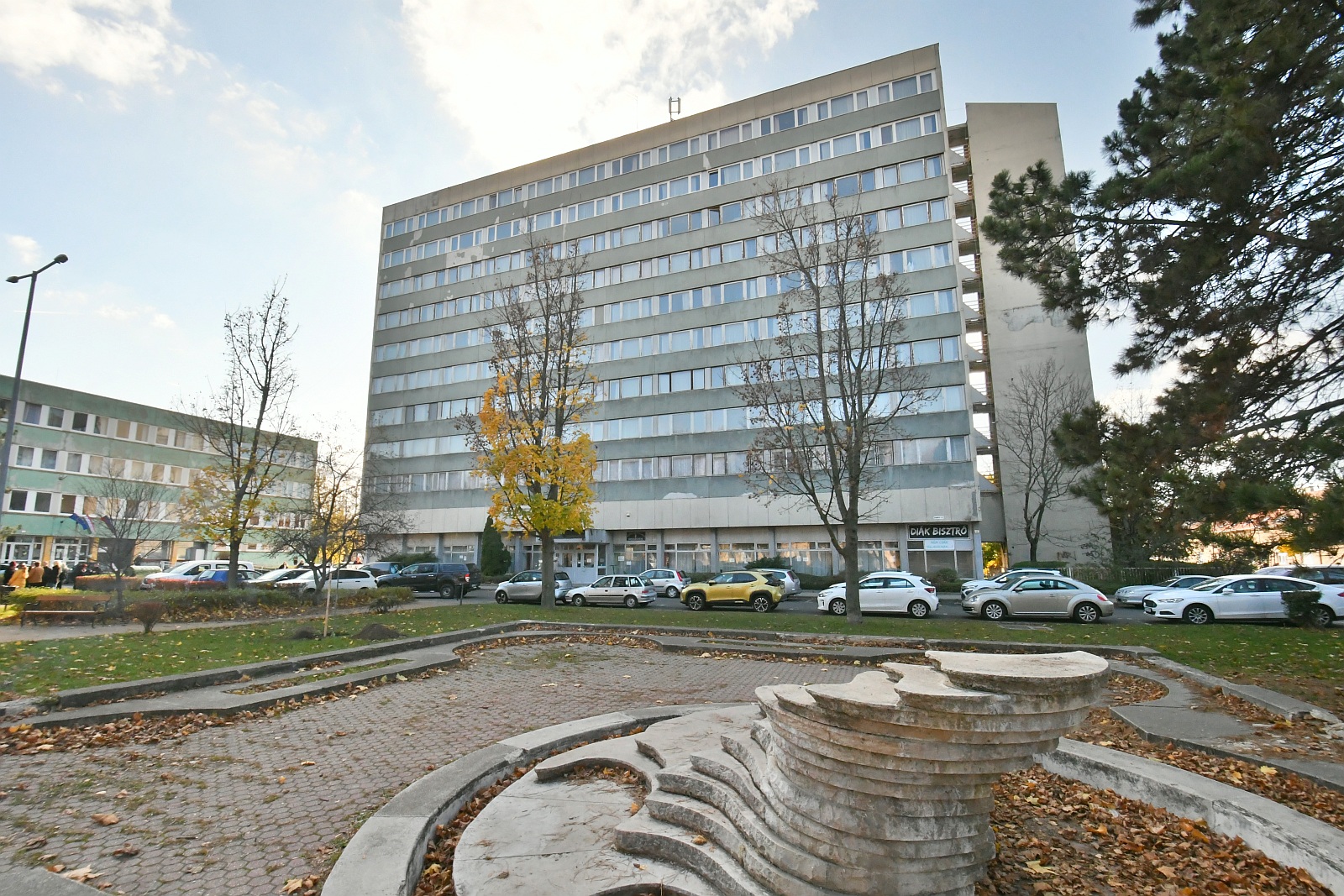 Fát ültettek a Nemes Nagy Ágnes kollégium fiataljai az 50 éves évfordulón